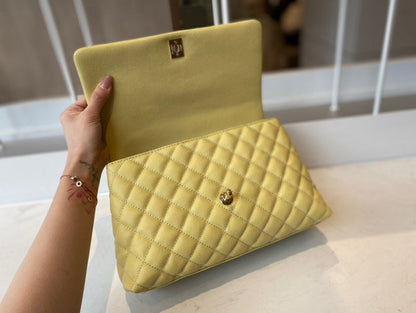 Anum Bags Detail