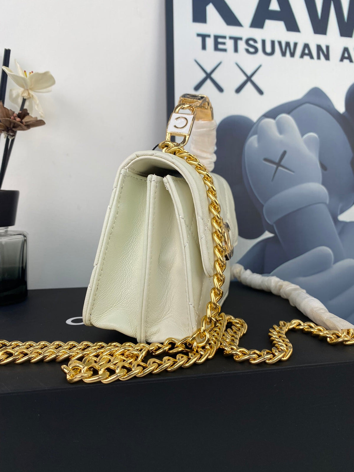 Anum Bags Detail