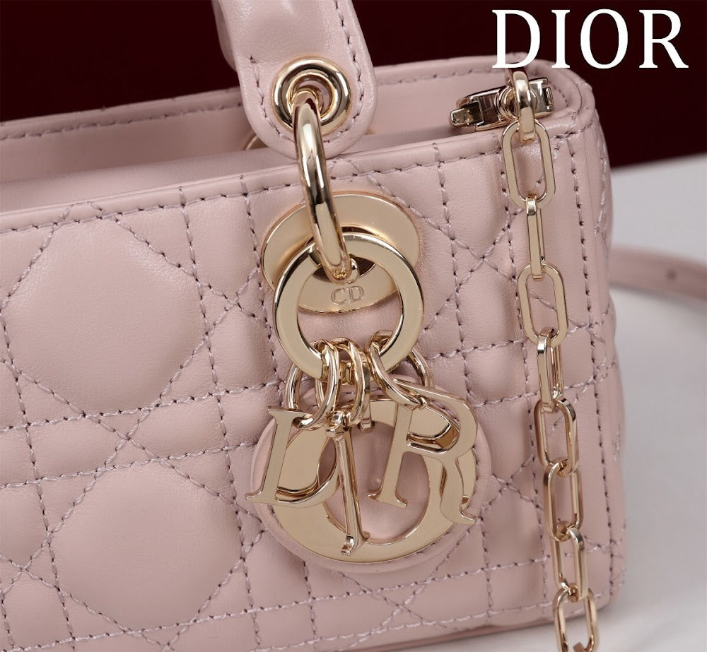 Anum Bags Diorn Luxury Bag --116456