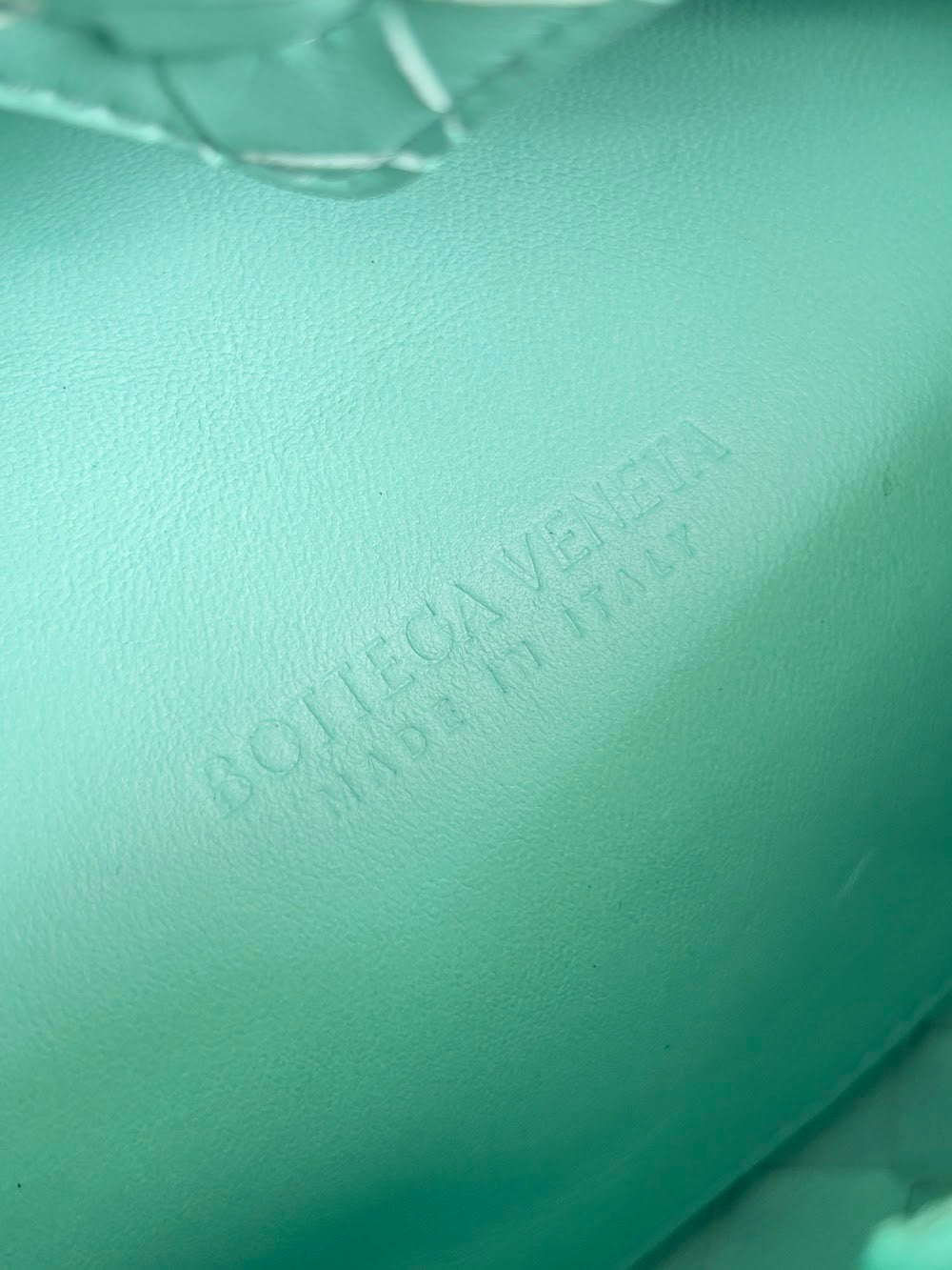 Anum Bags Bottegan Luxury Bag --90948