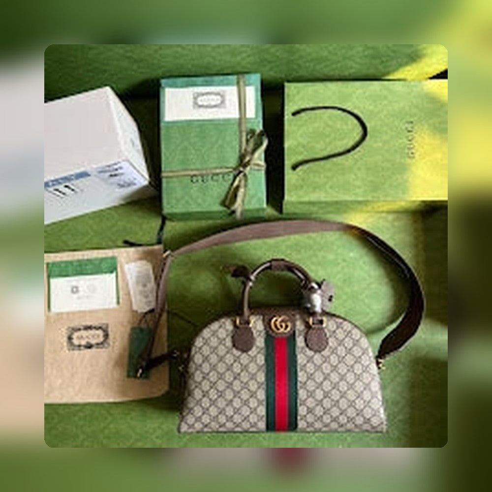 new-elite-designer-bags-nm8570
