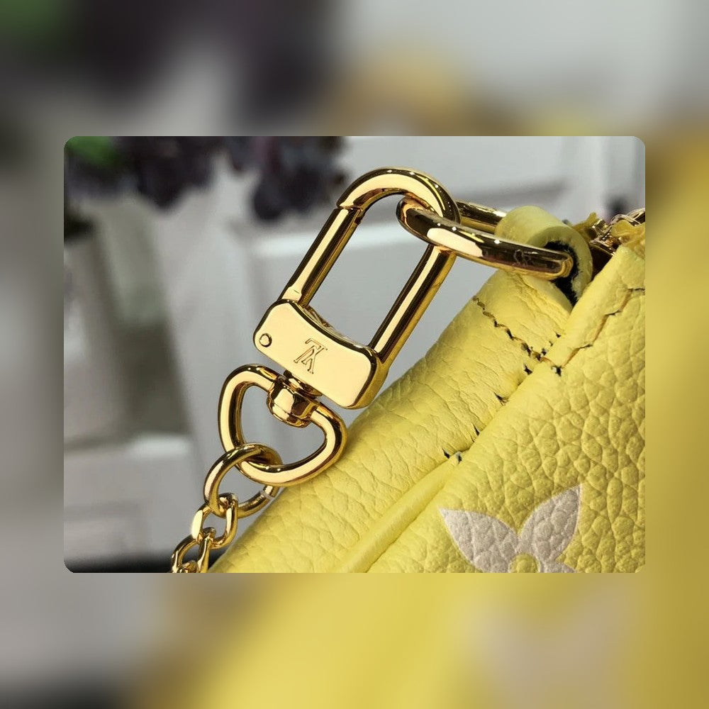Anum Bags Detail