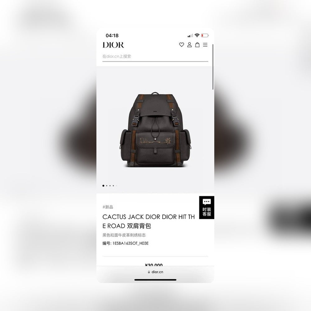 Anum Bags Detail