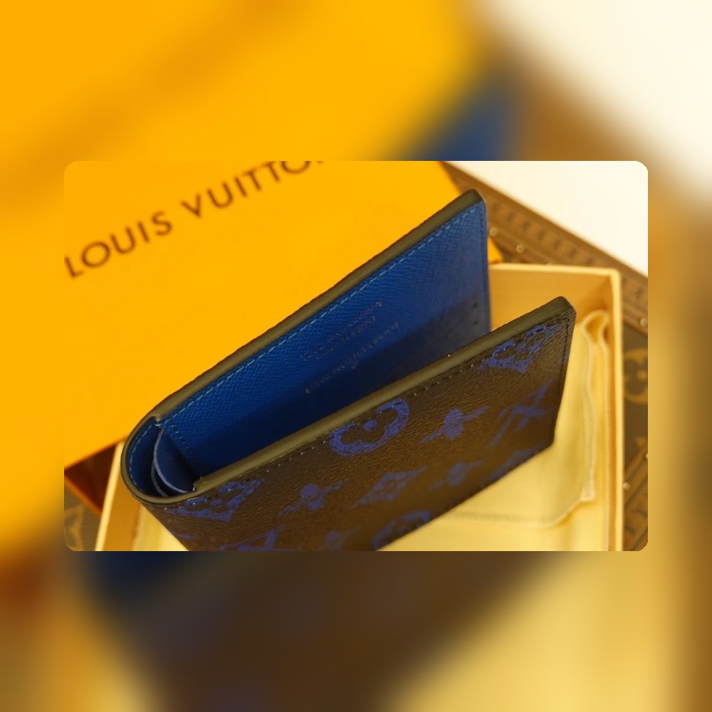 Anum Bags LV Luxury Bag --55910