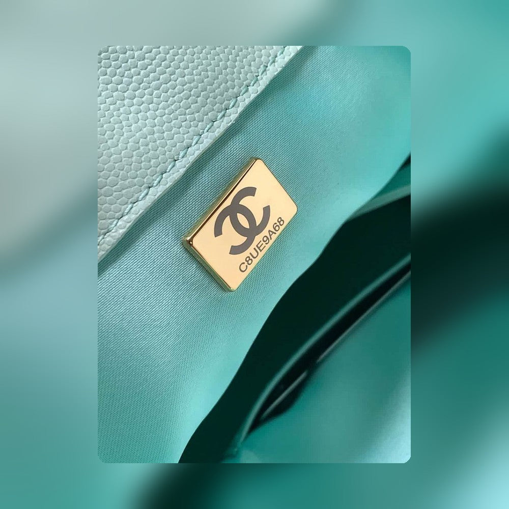 Anum Bags - Premium Luxury Goods and Accessories - AFFORDABLE LUXURY BAGS - 17645