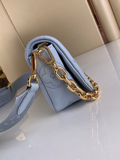 Anum Bags ln Luxury Bag --61049
