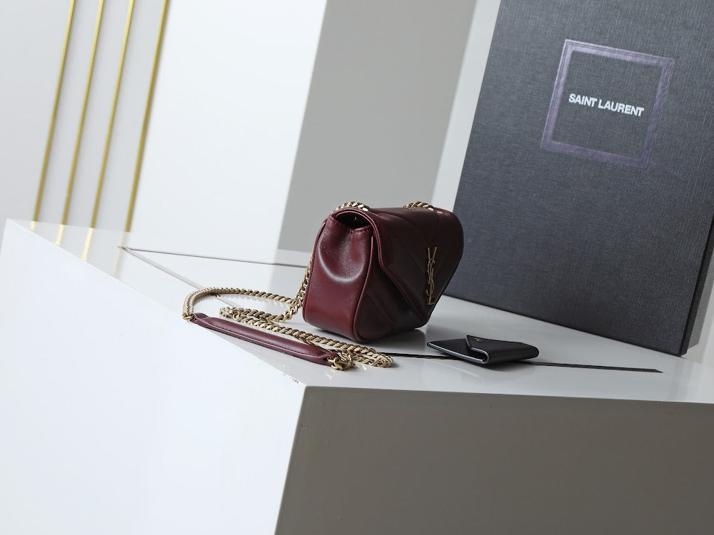 Anum Bags YSLn Luxury Bag --120030