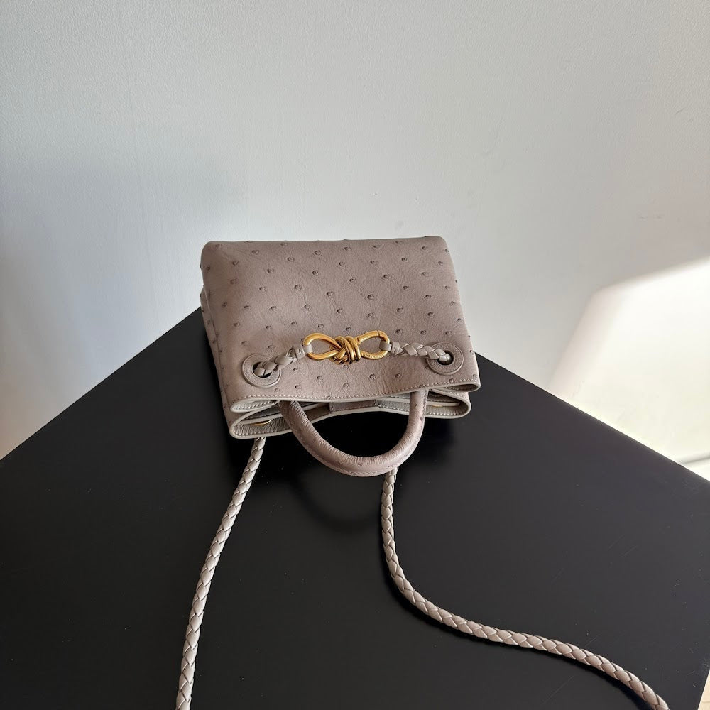 Anum Bags Bottegan Luxury Bag --91318