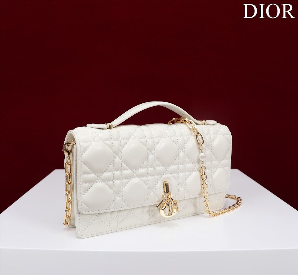 Anum Bags Diorn Luxury Bag --116228