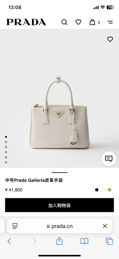 Anum Bags Pradn Luxury Bag --102561