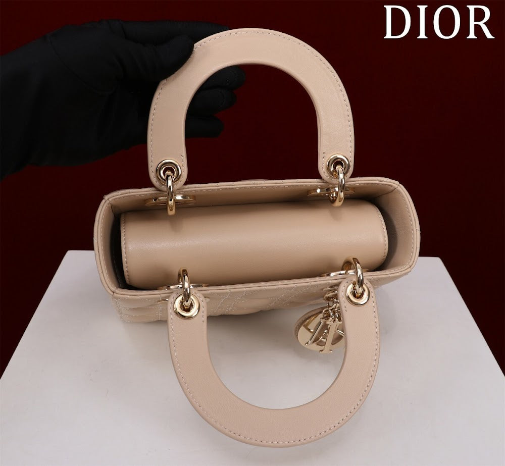 Anum Bags Diorn Luxury Bag --115932