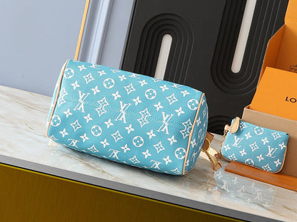 Anum Bags LVn Luxury Bag --79626