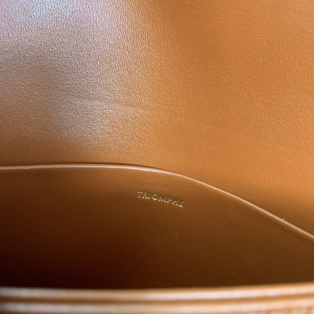 Anum Bags Celine Luxury Bag --111989