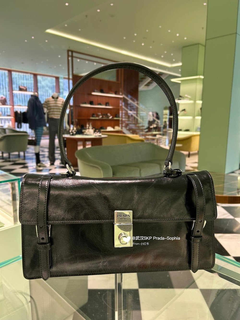 Anum Bags Pradn Luxury Bag --102588
