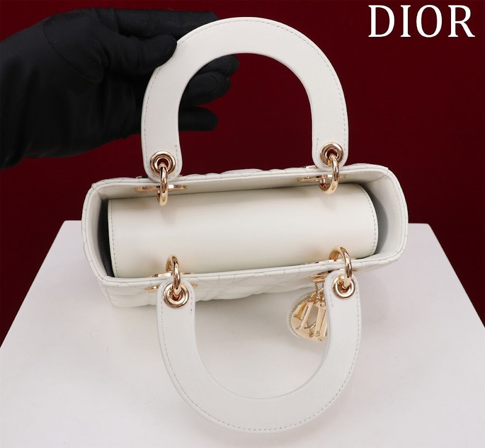 Anum Bags Diorn Luxury Bag --115934