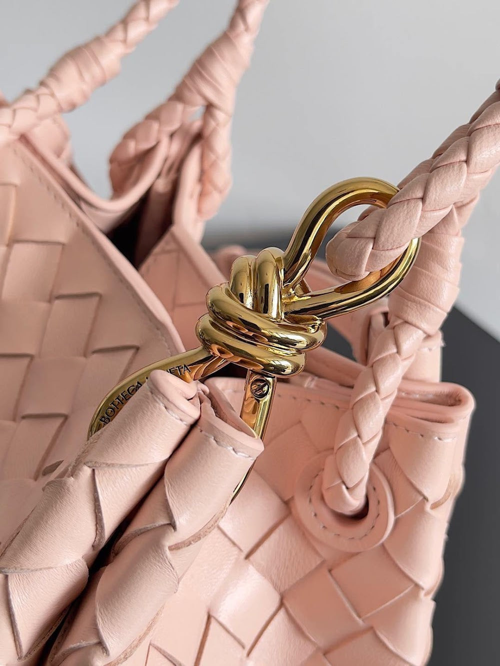 Anum Bags Bottegan Luxury Bag --90964