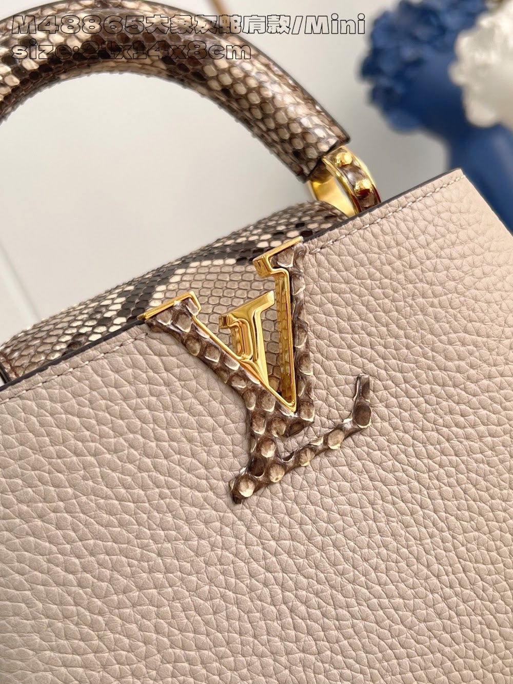 Anum Bags ln Luxury Bag --95709