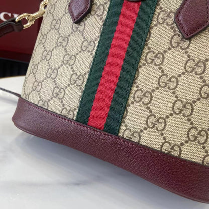Anum Bags Guccin Luxury Bag --94624