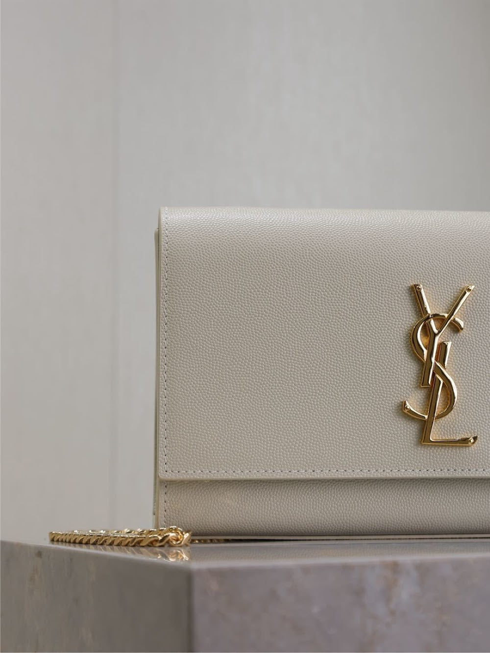 Anum Bags YSLn Luxury Bag --120538