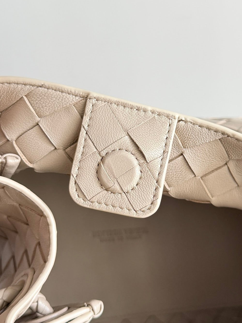 Anum Bags Bottegan Luxury Bag --91382