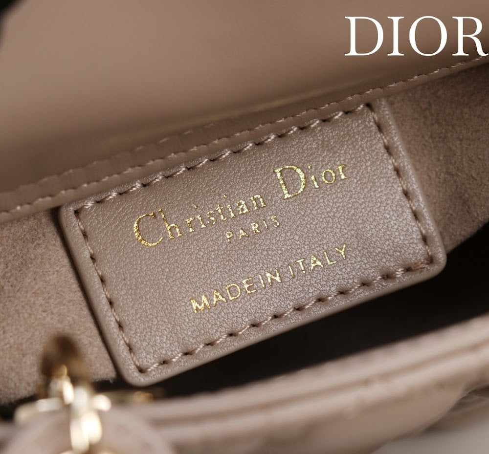 Anum Bags Diorn Luxury Bag --116536