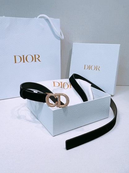 Anum Bags Diorn Luxury Belt --104863