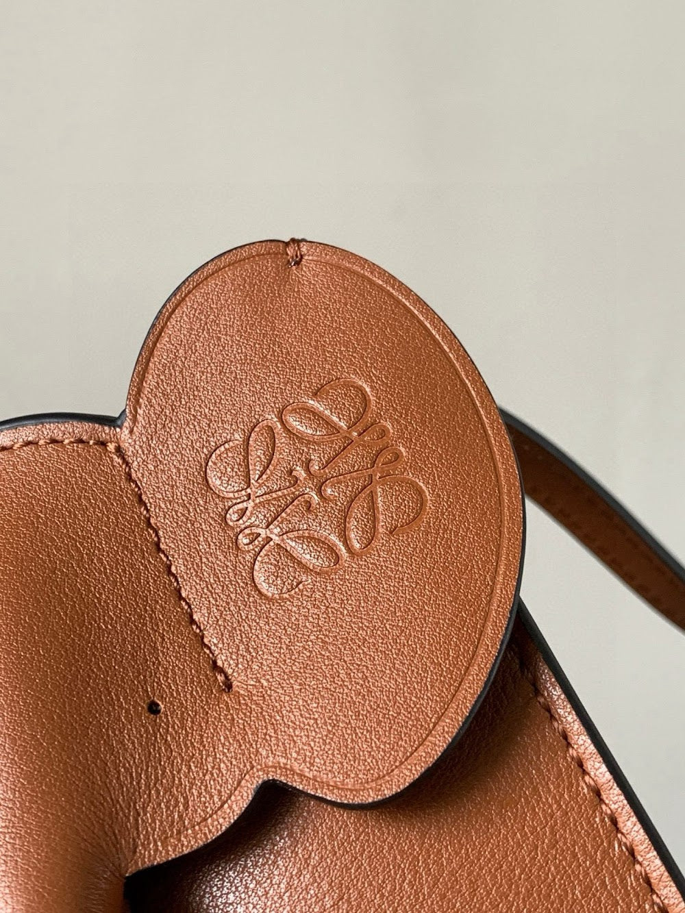 Anum Bags Lowen Luxury Bag --99931