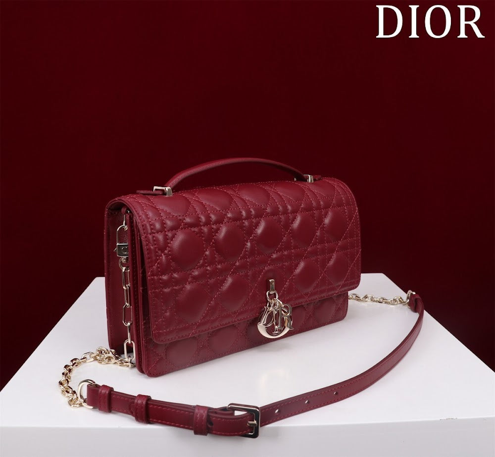 Anum Bags Diorn Luxury Bag --116287