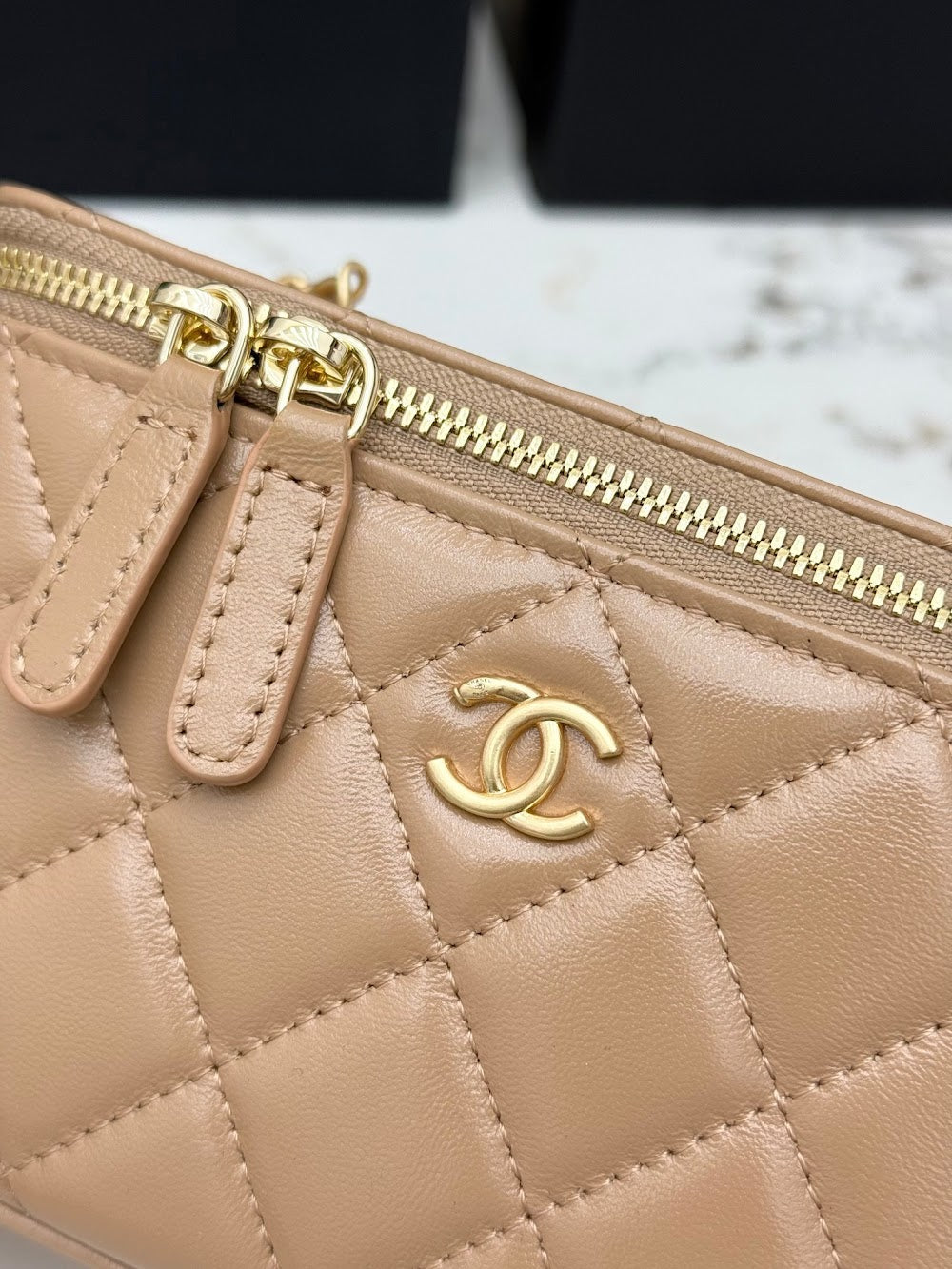 Anum Bags CHn Luxury Bag --113842