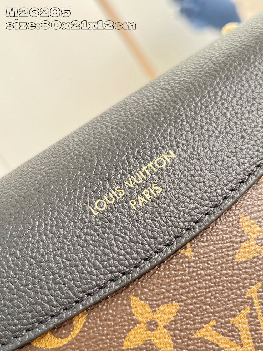 Anum Bags ln Luxury Bag --96435