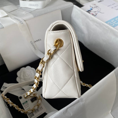 new-designer-premium-bags-nm20654