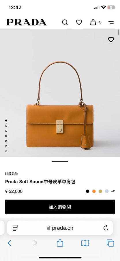 Anum Bags Pradn Luxury Bag --102597