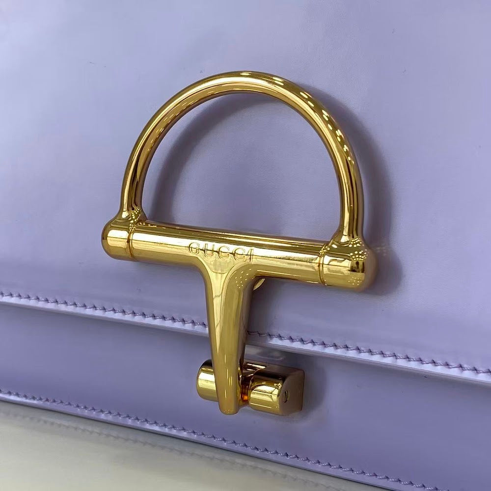 Anum Bags Guccin Luxury Bag --94971