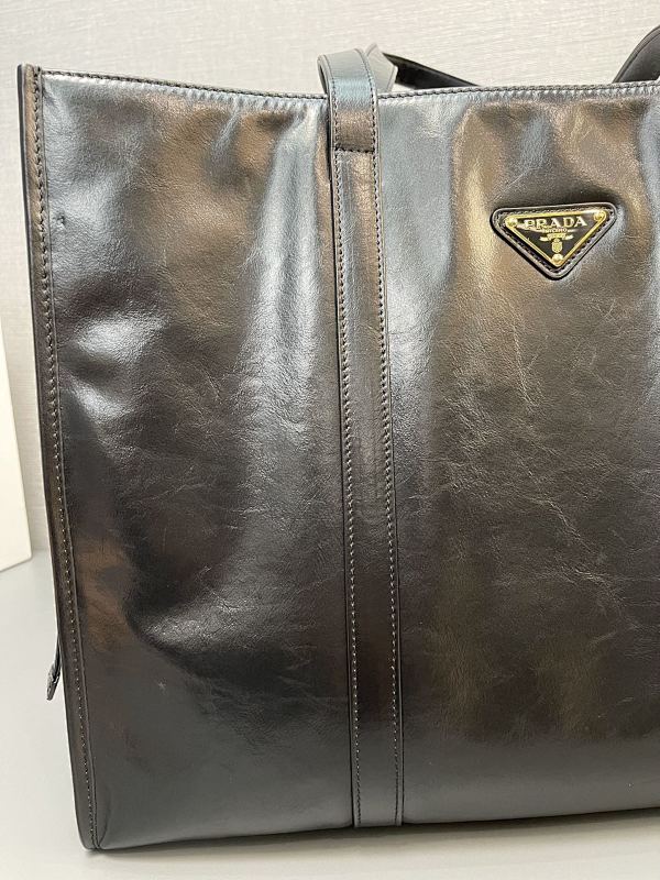 Anum Bags pradn Luxury Bag --75026