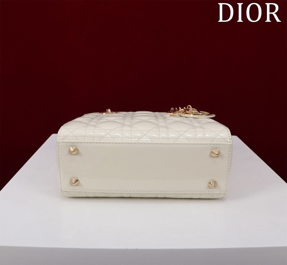 Anum Bags Diorn Luxury Bag --115948