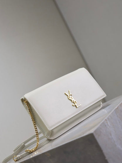 Anum Bags YSLn Luxury Bag --120479