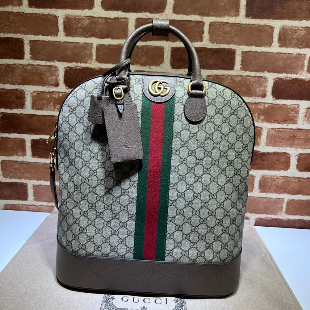 Anum Bags Guccin Luxury Bag --94743