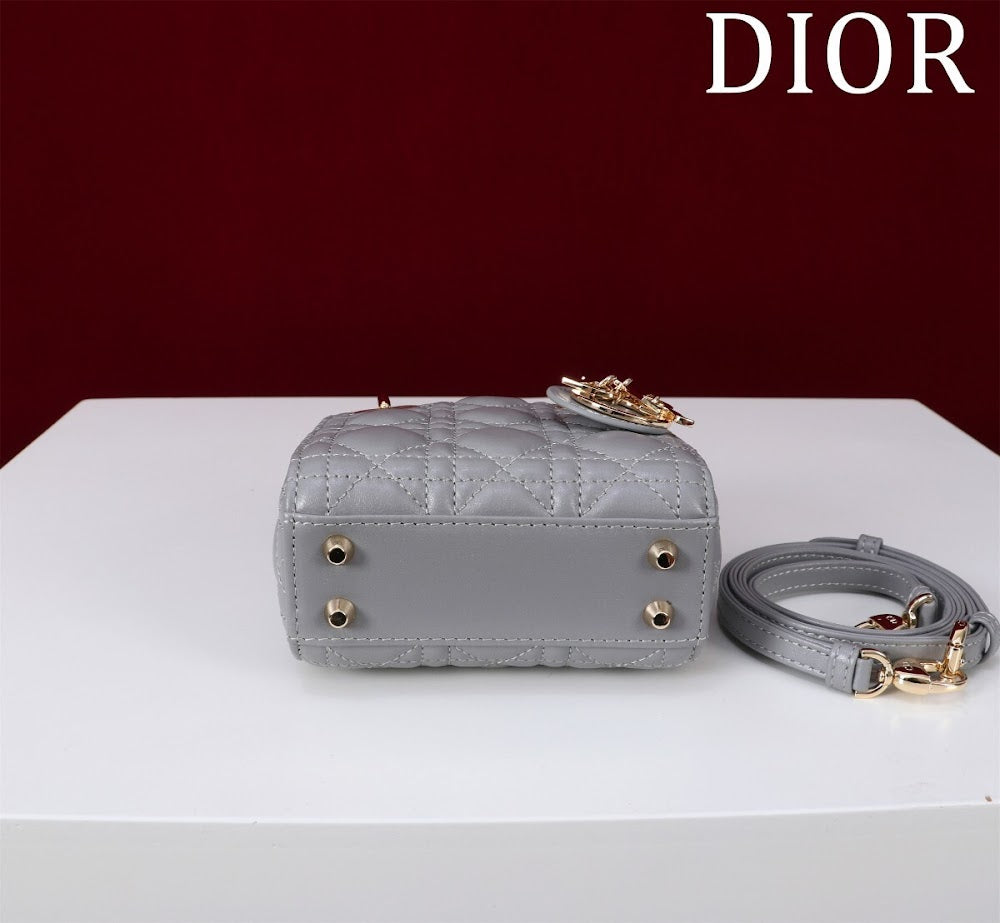 Anum Bags Diorn Luxury Bag --116331