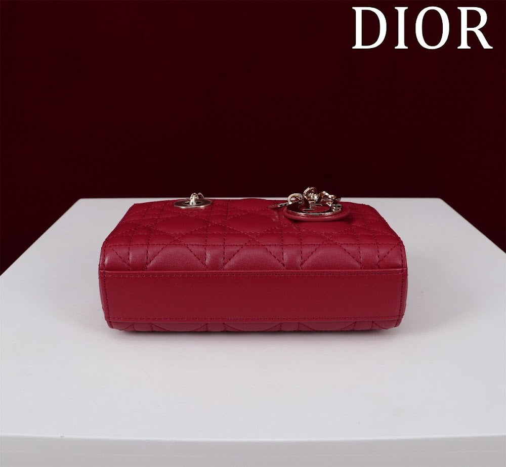 Anum Bags Diorn Luxury Bag --116455