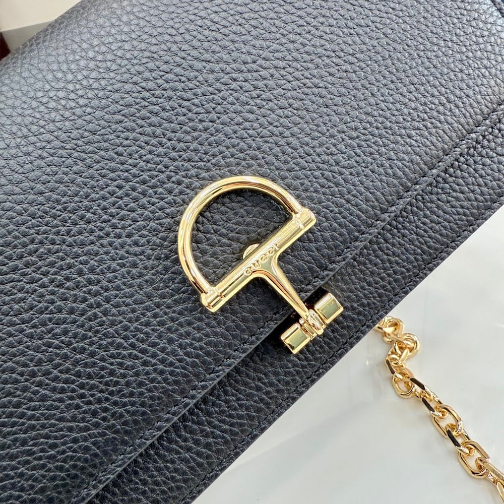 Anum Bags Guccin Luxury Bag --95178