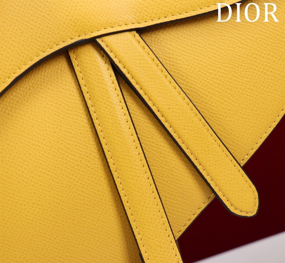 Anum Bags Diorn Luxury Bag --116493