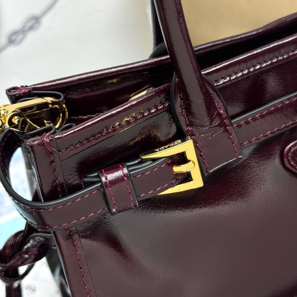 Anum Bags Pradn Luxury Bag --101718