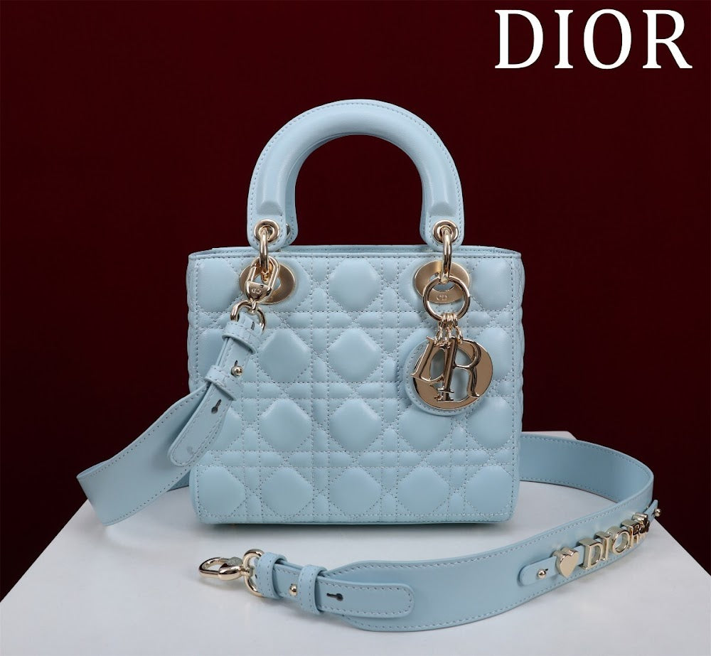 Anum Bags Diorn Luxury Bag --115928