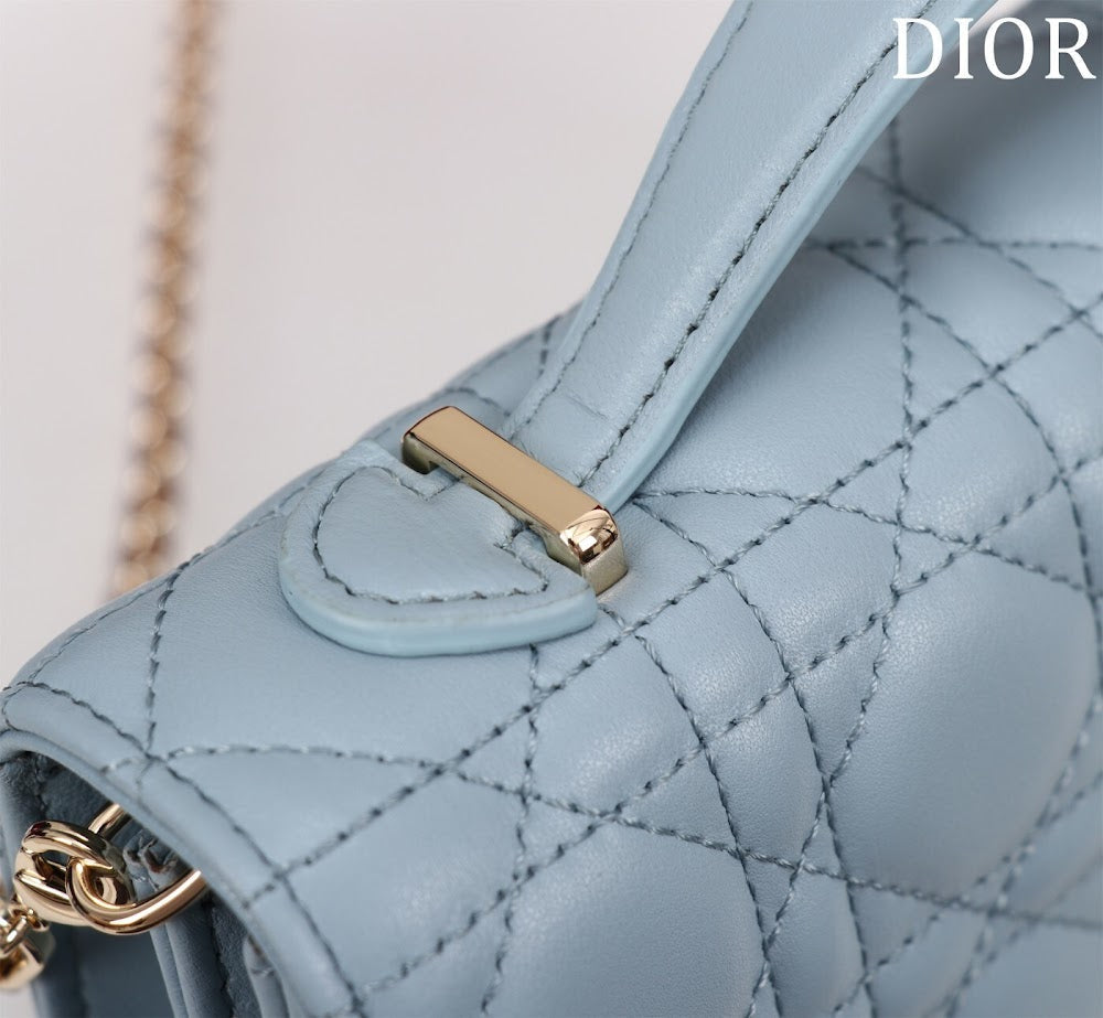 Anum Bags Diorn Luxury Bag --116227