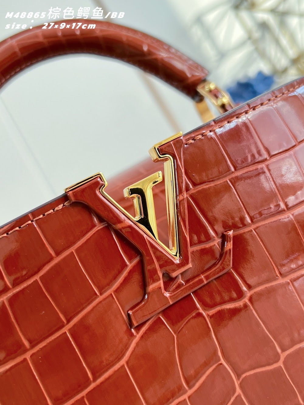 Anum Bags ln Luxury Bag --96693