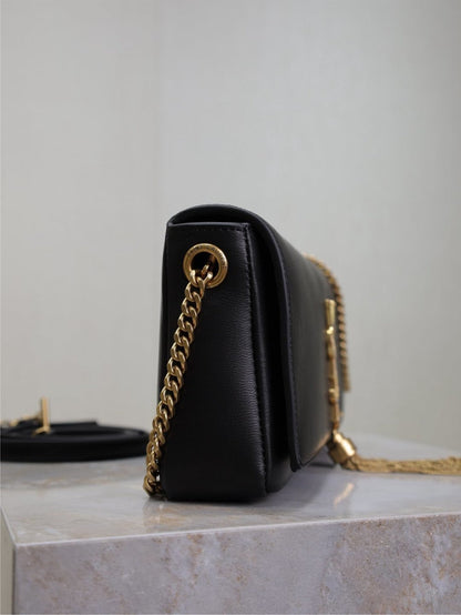 Anum Bags YSLn Luxury Bag --120428