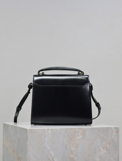 Anum Bags YSLn Luxury Bag --119775