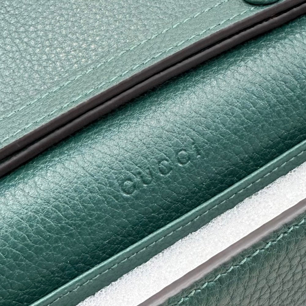 Anum Bags Guccin Luxury Bag --95177
