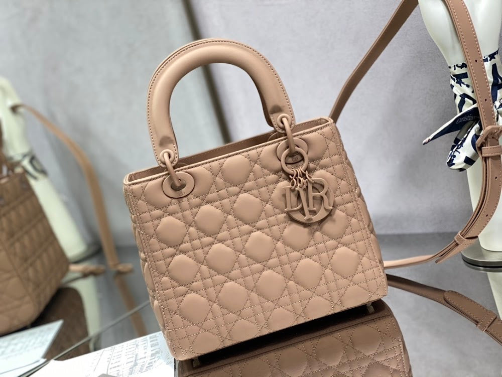 Anum Bags Diorn Luxury Bag --116153