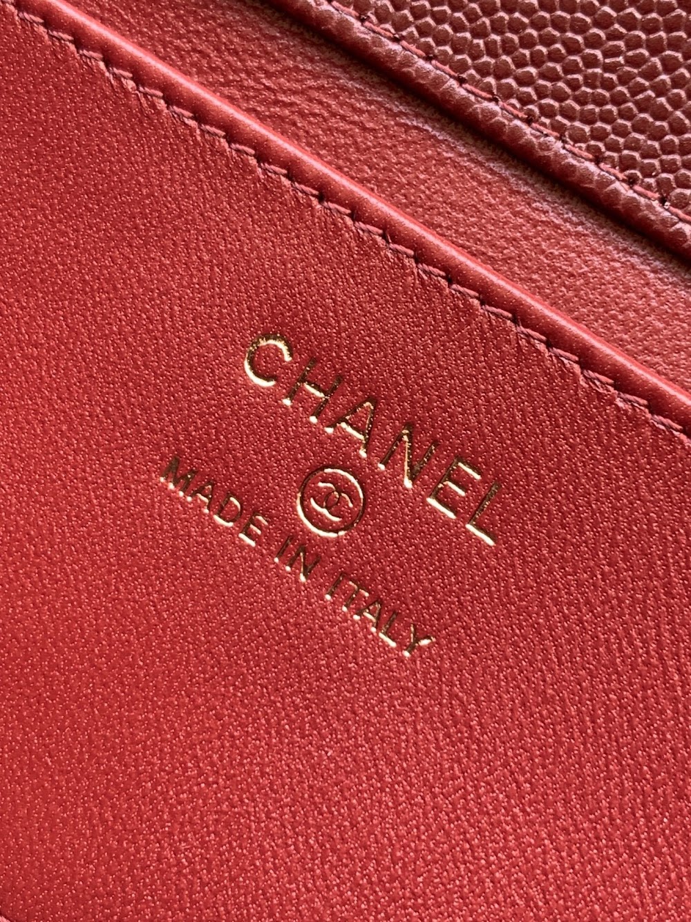 Anum Bags CHn Luxury Bag --113736